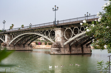 Photograph taken of the Isabel II bridge, Triana bridge, and the Guadalquivir river in Seville