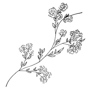 Vector hand drawn branch with flowers. Drawing