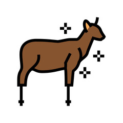stuffed hoofed animal color icon vector. stuffed hoofed animal sign. isolated symbol illustration