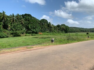 walking in the countryside