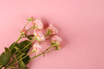 Fototapeta na wymiar Bouquet of roses on pink pastel background