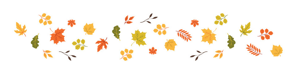 Autumn Leaves in a row. Hello Autumn. Set of autumn leaves, isolated concept. Vector illustration