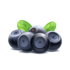 Bilberry (huckleberry, whortleberry or blueberry), with leaf, wild forest berries, ripe juicy fruit, healthy food. Vector icon.