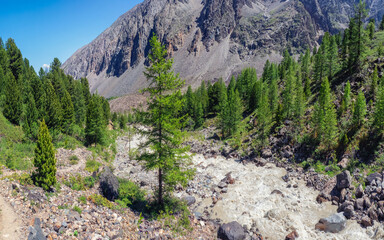 Mountain river flow through forest. Beautiful alpine landscape with azure water in fast river. Power majestic nature of highlands.