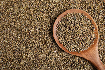 Wooden spoon and hemp seeds, top view. Space for text