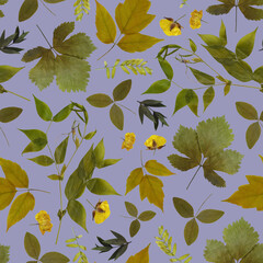 Floral seamless pattern with pressed leaves and flowers. Wild plants on blue background. Herbarium.