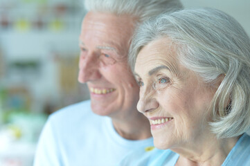 portrait of  happy senior couple at home