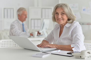 Obraz premium senior woman working in office with laptop