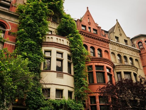 Brownstones Covered In Ivy, On The Upper West Side, Manhattan, New York City