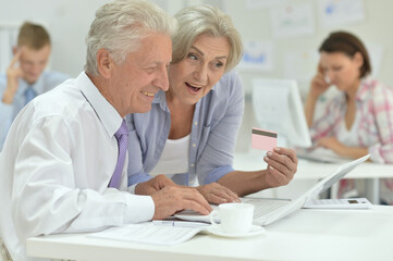 Fototapeta premium senior couple shopping online