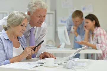 Obraz premium senior couple working in office