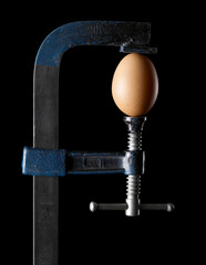 Fototapeta na wymiar egg squeezed by a vise