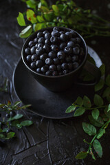 blueberries in a cup, black background
