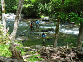 People fly fishing in river