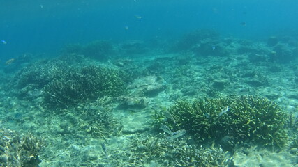 Fototapeta na wymiar マレーシア　ティオマン島の海