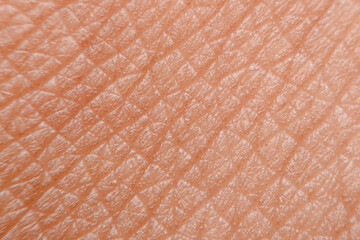 close-up photo of human skin