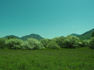 Fototapeta na wymiar Walk through Senjogahara in early summer
