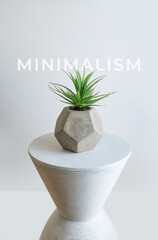 Minimal plant with a simple background.