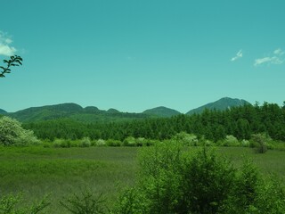 Walk through Senjogahara in early summer