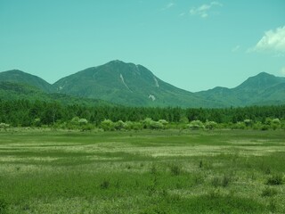 Walk through Senjogahara in early summer