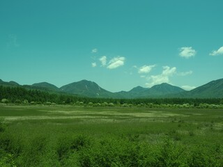 Obraz premium Walk through Senjogahara in early summer