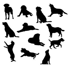 Set of Labrador Retriever Silhouette vector Illustration Eps 10