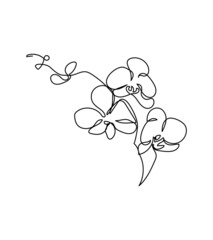 Phalaenopsis flower one line art. Continuous line drawing of plants, herb, flower, blossom, nature, flora, tropical flowers, orchid.