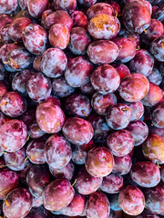 lots of ripe sweet plums for food as a background