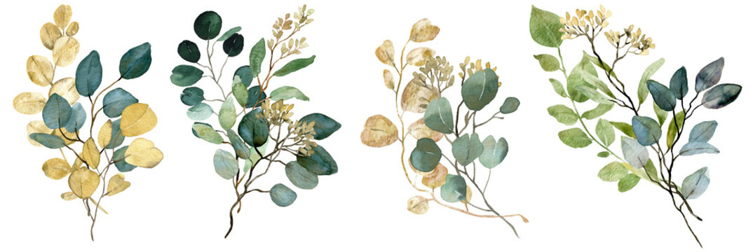 Watercolor green and gold seeded Eucalyptus bouquets. Spring greenery. Wedding floral illustration.