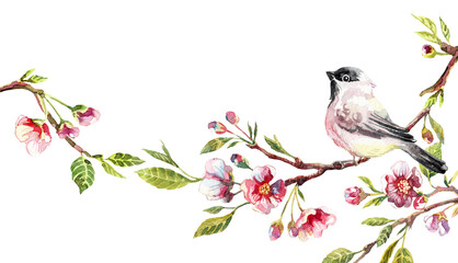 Birds on sakura branches. Watercolor illustration of a blooming cherry tree. Symbol of spring.