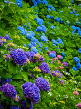 31 057 Best Virtue Images Stock Photos Vectors Adobe Stock