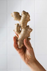 A woman's hand holds a ginger root.