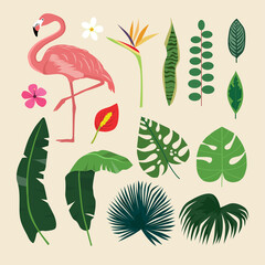 Tropical set collection of exotic flowers, jungle leaves, monstera plant, pink flamingo. Vector illustrations, decorative beauty floral elements isolated