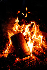 burning fire in a fireplace