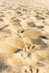 Close up of seagull footprints on the sand beach. Textured background . High quality photo