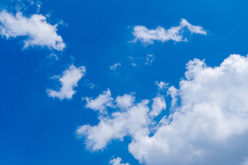 Obraz premium 真夏の青空