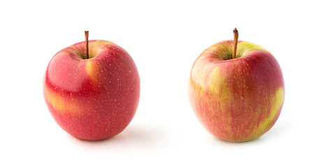 red apple on a white background