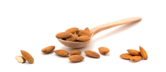 Almond isolated on white background