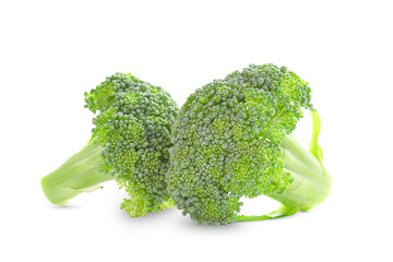 Two inflorescences of broccoli on a white background, broccoli isolate