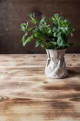 Fresh mint in pot on brown wooden background