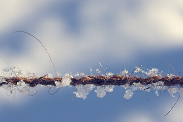 frosted cord, snow and cord, snow
