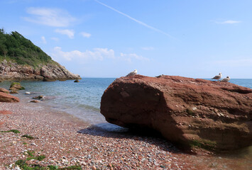 The beautifull pebbled beach at Oddicombe on the South Devon coast