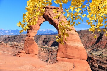Delicate Arch in USA - autumn leaves seasonal view.