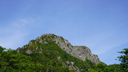 Fototapeta na wymiar 石鎚山 登山道の風景