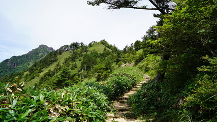 Fototapeta premium 石鎚山 登山道の風景
