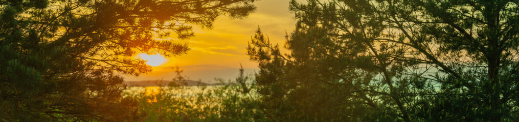 Beautiful dark orange green sky evening beauty and Clouds at sunset , dawn, the rays of the sun break through the clouds. Natural tree Panorama