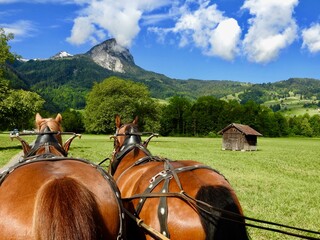 Switzerland landscapes