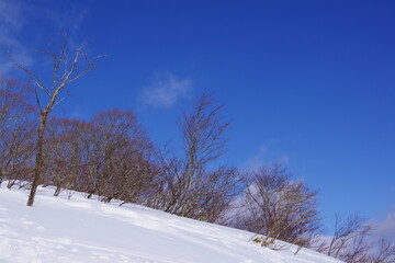 雪面