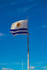 Flag of Palmas, Tocantins, State of Brazil