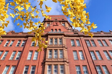University of Manchester - autumn leaves seasonal view.